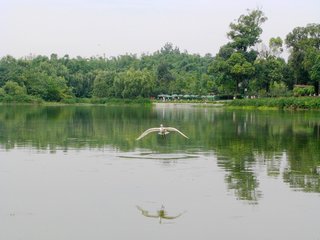 早春陪崔中丞浣花溪宴，得暄字