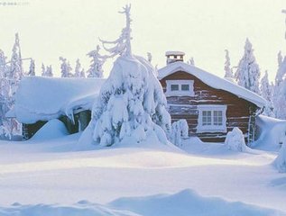 雪明?鹊夜慢/雪明?鹊夜