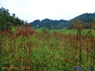 送淳安括田省委买都事