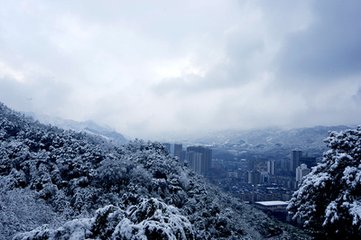 和司马倅喜雪