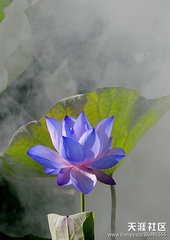 第一百二十一回