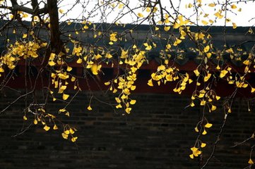 玉泉寺