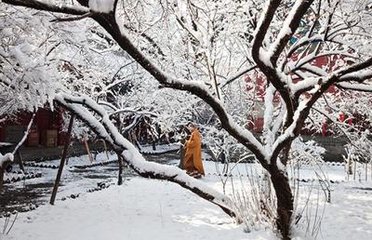 广寒秋/鹊桥仙