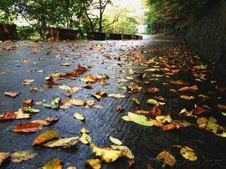 九月十六日游南内值大风雨归而雪满西岫矣