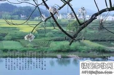 采桑子·清明池馆晴还雨