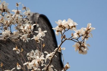 新市杂咏十首