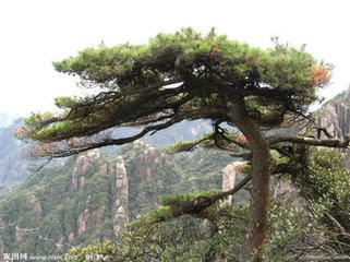 登驼巘岭