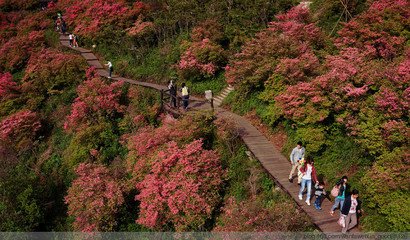 贺新郎·万里岷峨路