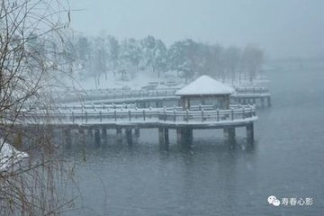 临清大雪