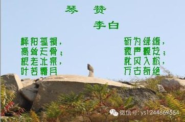 赋咏得琴诗