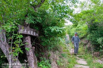 奉使登终南山