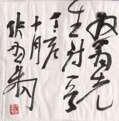 玩花五首