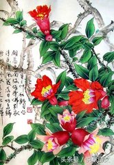 瑞鹧鸪·榴花五月眼边明