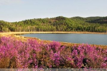 减字木兰花·西山岩桂