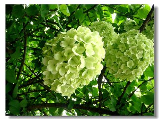 秋思（三首）