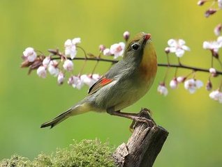 立春前一日雪中访乌程宰李君俞寻有诗见贶依