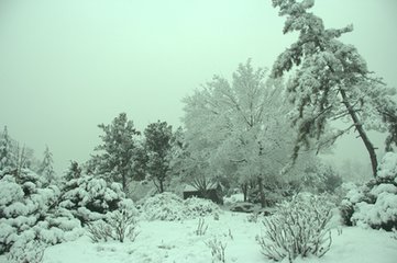 寄题郢州白雪楼