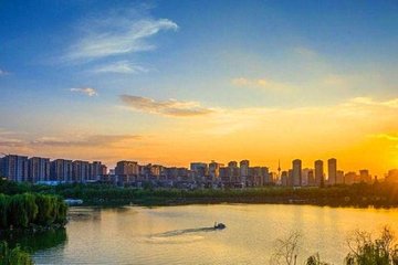曲江春望
