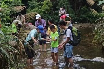 观物四首·蛙