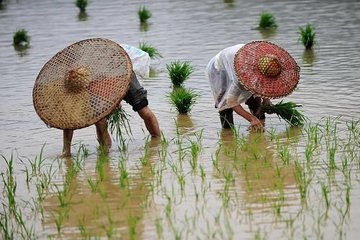 五月九日登舟迓卒鼓角发严