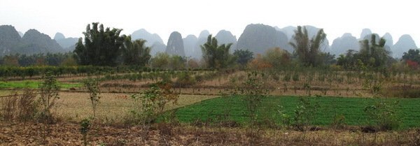 鹧鸪天（为老人寿）