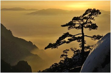 临江仙·客睡厌听深夜雨