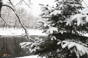 飞雪满堆山（次赵西里＿·行喜雪韵）