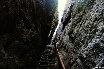 木兰花慢·步凉颸绿野