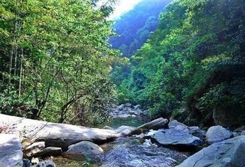 题鹤鸣泉