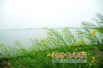 南都遇前嘉鱼刘令言游闽岭作此与之