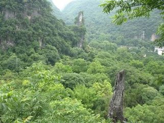 西郎山