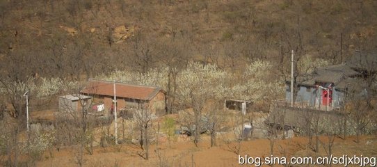 念奴娇 吴杰者，无为人，辛酉之冬，惠然相