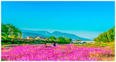 浣溪沙·钿毂香车过柳堤