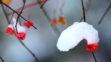 小雪前三日锺冠之约余侍老人行山舟发后洪入