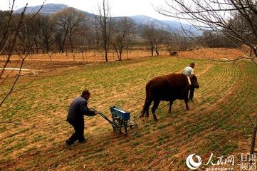 送何济川为庞公使庆阳席上探得冬字