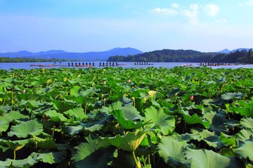 王德言夏日西湖晚步十韵次而和之