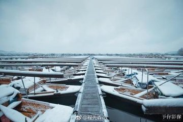 西湖对雪