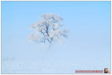 五日登北山望竞渡