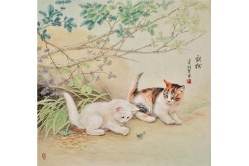 猫