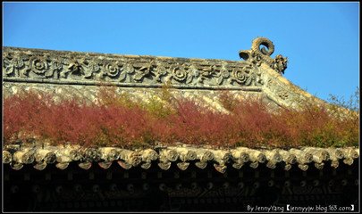 秦寇入山西