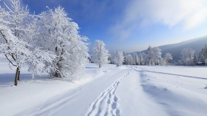 好事近·密雪听窗知