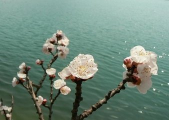 采桑子·小庭雨过春将尽