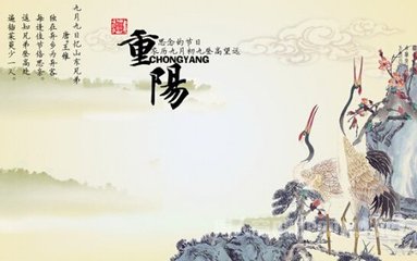 重阳日忆远