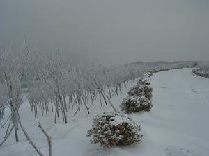 蓦山溪（绍兴乙卯，大雪行鄱阳道中）