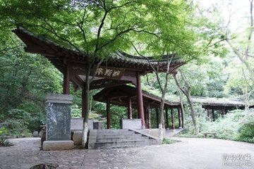 奉陪韦润州游鹤林寺