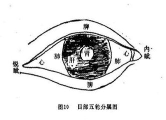 足太阳阳明手少阳脉动