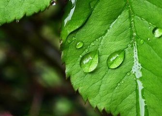 小雨