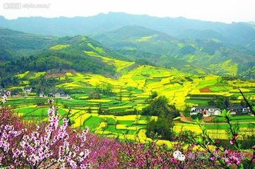 浣溪沙 折花士女图