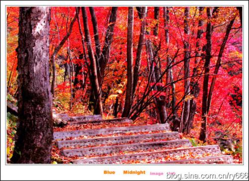 九日登山