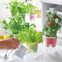 送耕存大参使日本